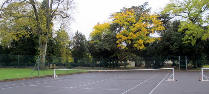 The courts at the Agricultural University