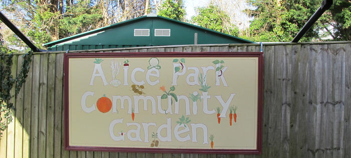 The Community Garden at Alice Park